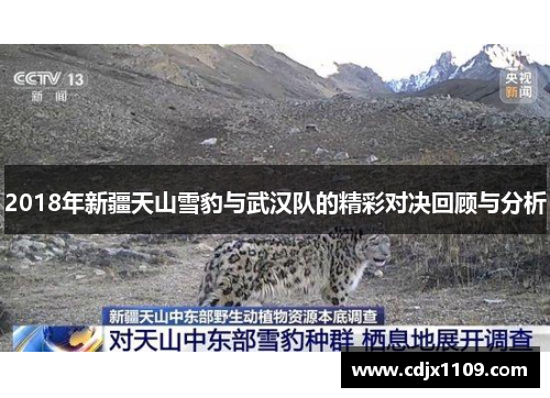 2018年新疆天山雪豹与武汉队的精彩对决回顾与分析